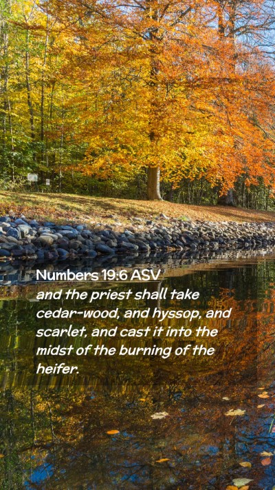 Picture 02 - Numbers 19:6 ASV Mobile Phone Wallpaper - and the priest shall take cedar-wood, and hyssop, - Mobile Bible Verse Wallpaper