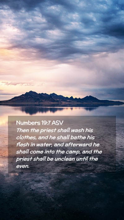 Picture 02 - Numbers 19:7 ASV Mobile Phone Wallpaper - Then the priest shall wash his clothes, and he - Mobile Bible Verse Wallpaper