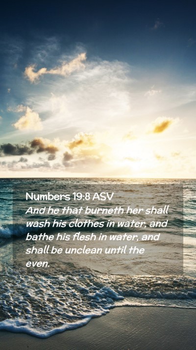 Picture 02 - Numbers 19:8 ASV Mobile Phone Wallpaper - And he that burneth her shall wash his clothes in - Mobile Bible Verse Wallpaper