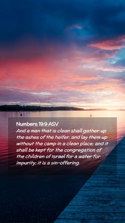 Picture 02 - Numbers 19:9 ASV Mobile Phone Wallpaper - And a man that is clean shall gather up the ashes - Mobile Bible Verse Wallpaper