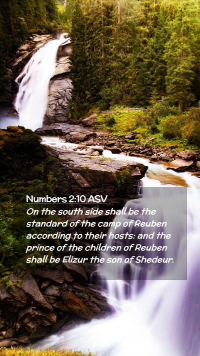 Picture 02 - Numbers 2:10 ASV Mobile Phone Wallpaper - On the south side shall be the standard of the - Mobile Bible Verse Wallpaper