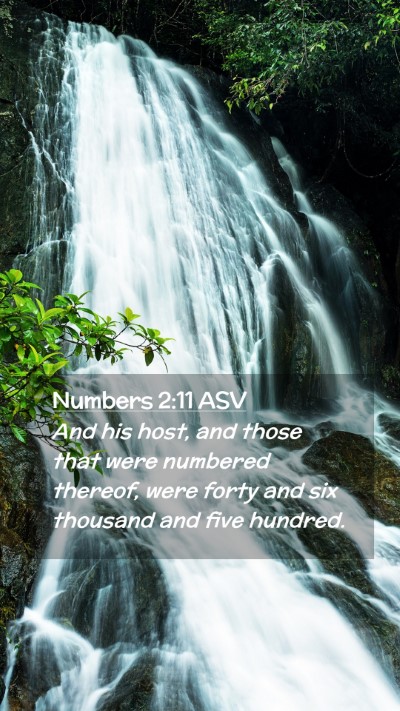 Picture 02 - Numbers 2:11 ASV Mobile Phone Wallpaper - And his host, and those that were numbered - Mobile Bible Verse Wallpaper
