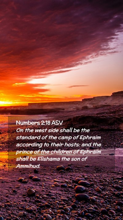 Picture 02 - Numbers 2:18 ASV Mobile Phone Wallpaper - On the west side shall be the standard of the - Mobile Bible Verse Wallpaper