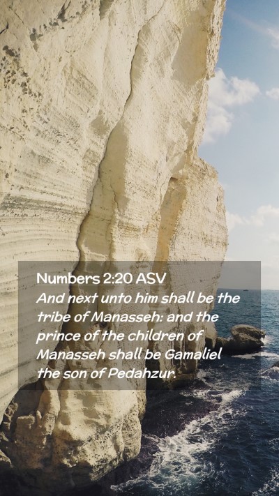 Picture 02 - Numbers 2:20 ASV Mobile Phone Wallpaper - And next unto him shall be the tribe of Manasseh: - Mobile Bible Verse Wallpaper