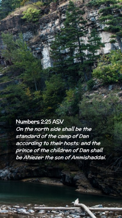 Picture 02 - Numbers 2:25 ASV Mobile Phone Wallpaper - On the north side shall be the standard of the - Mobile Bible Verse Wallpaper