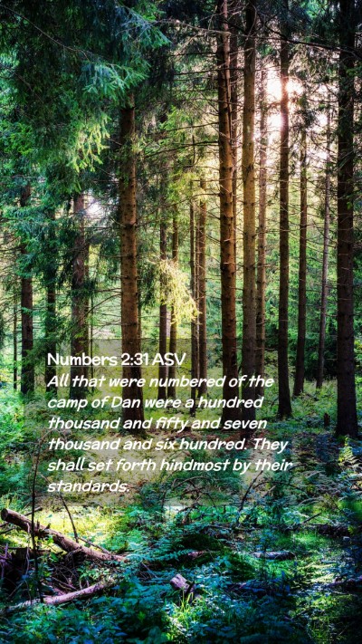Picture 02 - Numbers 2:31 ASV Mobile Phone Wallpaper - All that were numbered of the camp of Dan were a - Mobile Bible Verse Wallpaper