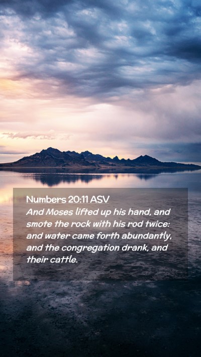 Picture 02 - Numbers 20:11 ASV Mobile Phone Wallpaper - And Moses lifted up his hand, and smote the rock - Mobile Bible Verse Wallpaper