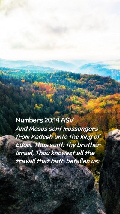 Picture 02 - Numbers 20:14 ASV Mobile Phone Wallpaper - And Moses sent messengers from Kadesh unto the - Mobile Bible Verse Wallpaper