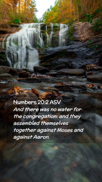 Picture 02 - Numbers 20:2 ASV Mobile Phone Wallpaper - And there was no water for the congregation: and - Mobile Bible Verse Wallpaper