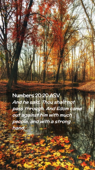 Picture 02 - Numbers 20:20 ASV Mobile Phone Wallpaper - And he said, Thou shalt not pass through. And - Mobile Bible Verse Wallpaper