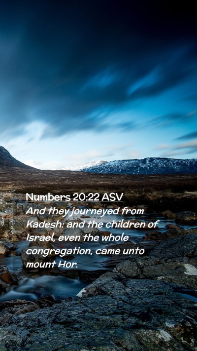 Picture 02 - Numbers 20:22 ASV Mobile Phone Wallpaper - And they journeyed from Kadesh: and the children - Mobile Bible Verse Wallpaper