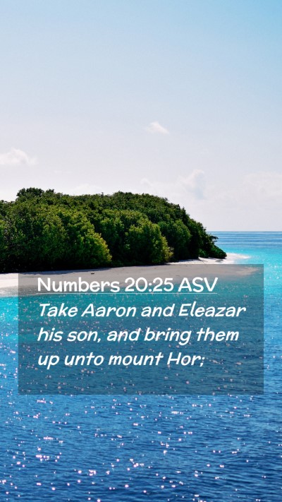 Picture 02 - Numbers 20:25 ASV Mobile Phone Wallpaper - Take Aaron and Eleazar his son, and bring them up - Mobile Bible Verse Wallpaper