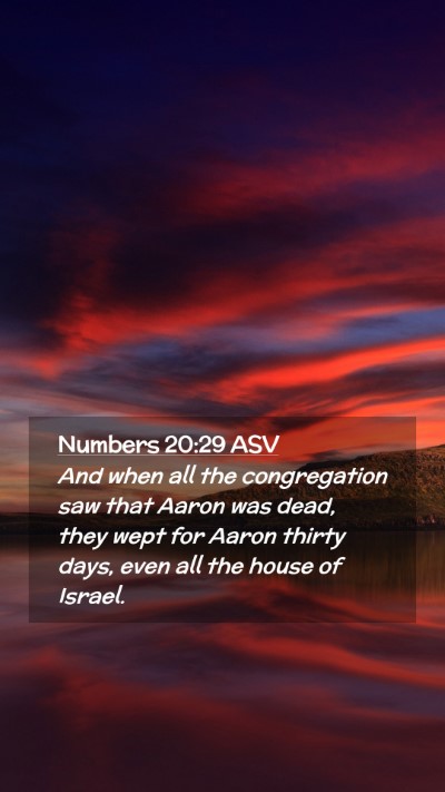 Picture 02 - Numbers 20:29 ASV Mobile Phone Wallpaper - And when all the congregation saw that Aaron was - Mobile Bible Verse Wallpaper
