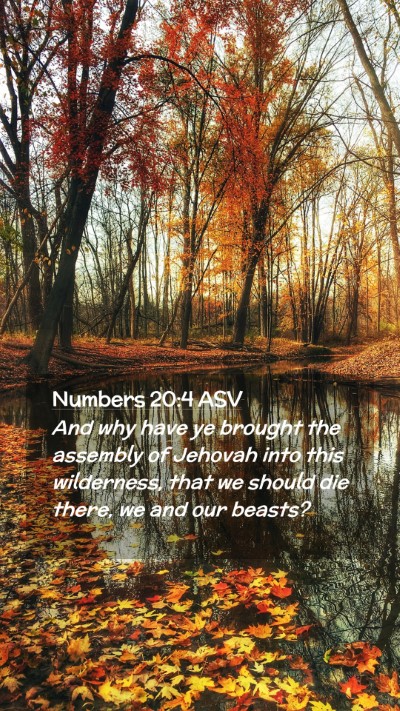 Picture 02 - Numbers 20:4 ASV Mobile Phone Wallpaper - And why have ye brought the assembly of Jehovah - Mobile Bible Verse Wallpaper