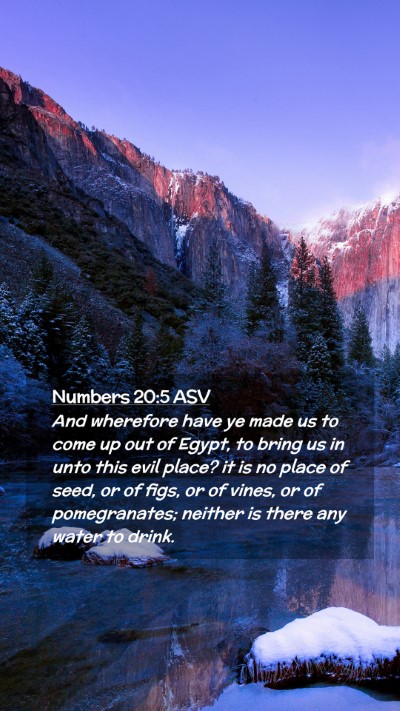 Picture 02 - Numbers 20:5 ASV Mobile Phone Wallpaper - And wherefore have ye made us to come up out of - Mobile Bible Verse Wallpaper