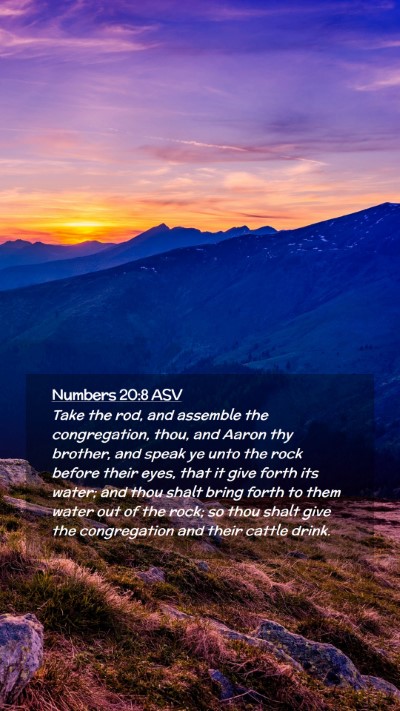 Picture 02 - Numbers 20:8 ASV Mobile Phone Wallpaper - Take the rod, and assemble the congregation, - Mobile Bible Verse Wallpaper