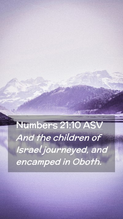 Picture 02 - Numbers 21:10 ASV Mobile Phone Wallpaper - And the children of Israel journeyed, and - Mobile Bible Verse Wallpaper