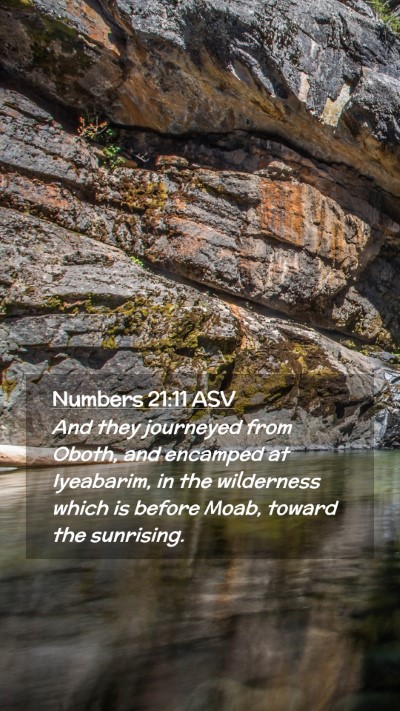 Picture 02 - Numbers 21:11 ASV Mobile Phone Wallpaper - And they journeyed from Oboth, and encamped at - Mobile Bible Verse Wallpaper