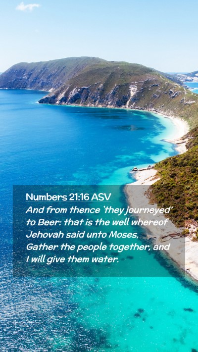 Picture 02 - Numbers 21:16 ASV Mobile Phone Wallpaper - And from thence `they journeyed' to Beer: that is - Mobile Bible Verse Wallpaper