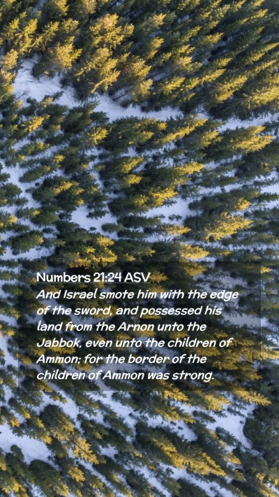 Picture 02 - Numbers 21:24 ASV Mobile Phone Wallpaper - And Israel smote him with the edge of the sword, - Mobile Bible Verse Wallpaper