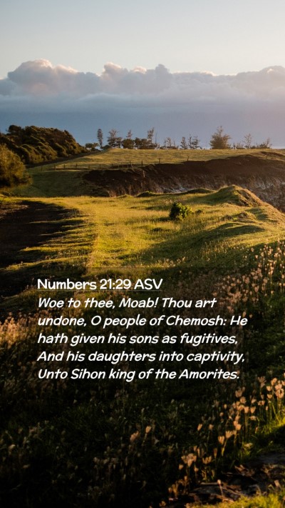 Picture 02 - Numbers 21:29 ASV Mobile Phone Wallpaper - Woe to thee, Moab! Thou art undone, O people of - Mobile Bible Verse Wallpaper