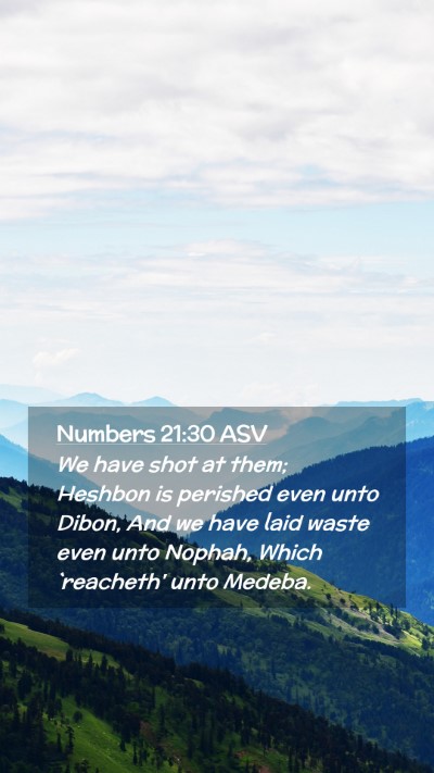 Picture 02 - Numbers 21:30 ASV Mobile Phone Wallpaper - We have shot at them; Heshbon is perished even - Mobile Bible Verse Wallpaper