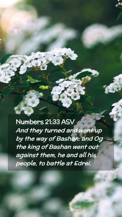 Picture 02 - Numbers 21:33 ASV Mobile Phone Wallpaper - And they turned and went up by the way of Bashan: - Mobile Bible Verse Wallpaper