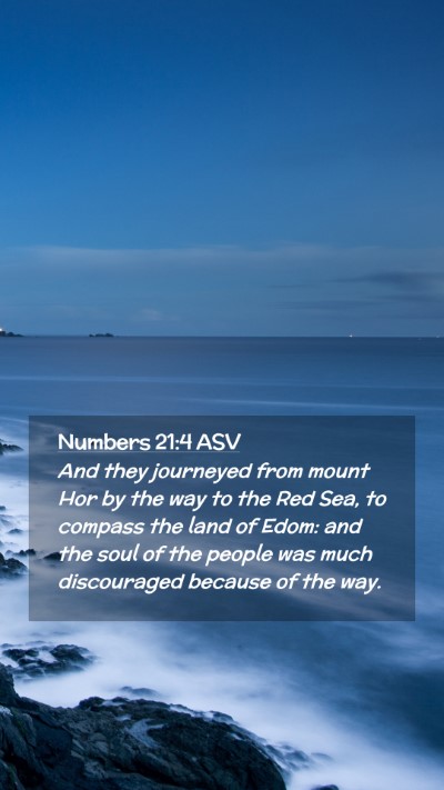 Picture 02 - Numbers 21:4 ASV Mobile Phone Wallpaper - And they journeyed from mount Hor by the way to - Mobile Bible Verse Wallpaper