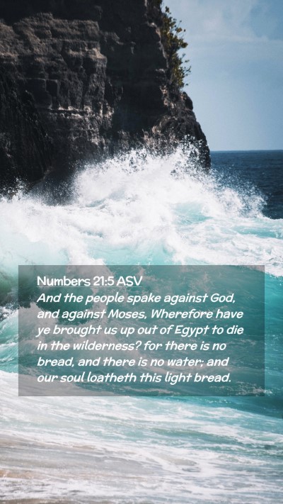 Picture 02 - Numbers 21:5 ASV Mobile Phone Wallpaper - And the people spake against God, and against - Mobile Bible Verse Wallpaper
