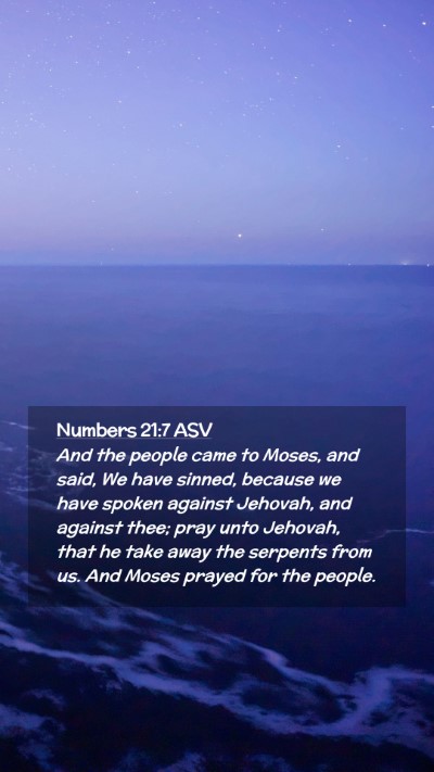 Picture 02 - Numbers 21:7 ASV Mobile Phone Wallpaper - And the people came to Moses, and said, We have - Mobile Bible Verse Wallpaper