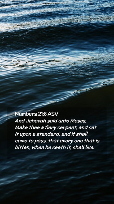 Picture 02 - Numbers 21:8 ASV Mobile Phone Wallpaper - And Jehovah said unto Moses, Make thee a fiery - Mobile Bible Verse Wallpaper