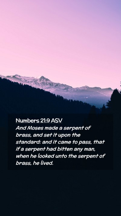 Picture 02 - Numbers 21:9 ASV Mobile Phone Wallpaper - And Moses made a serpent of brass, and set it - Mobile Bible Verse Wallpaper