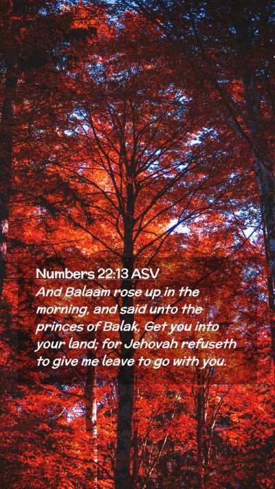 Picture 02 - Numbers 22:13 ASV Mobile Phone Wallpaper - And Balaam rose up in the morning, and said unto - Mobile Bible Verse Wallpaper