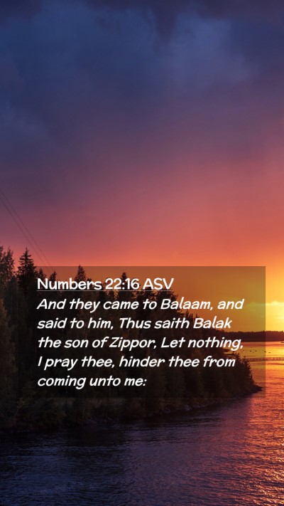 Picture 02 - Numbers 22:16 ASV Mobile Phone Wallpaper - And they came to Balaam, and said to him, Thus - Mobile Bible Verse Wallpaper
