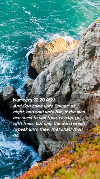 Picture 02 - Numbers 22:20 ASV Mobile Phone Wallpaper - And God came unto Balaam at night, and said unto - Mobile Bible Verse Wallpaper