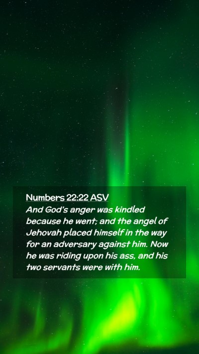 Picture 02 - Numbers 22:22 ASV Mobile Phone Wallpaper - And God's anger was kindled because he went; and - Mobile Bible Verse Wallpaper