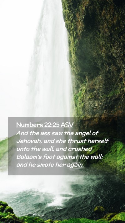 Picture 02 - Numbers 22:25 ASV Mobile Phone Wallpaper - And the ass saw the angel of Jehovah, and she - Mobile Bible Verse Wallpaper