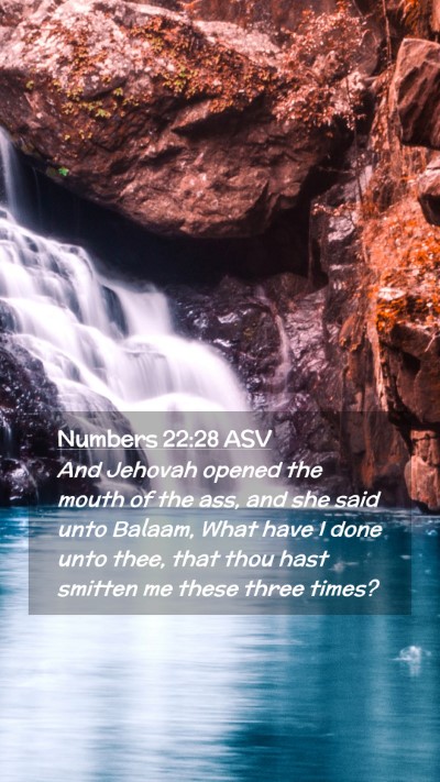 Picture 02 - Numbers 22:28 ASV Mobile Phone Wallpaper - And Jehovah opened the mouth of the ass, and she - Mobile Bible Verse Wallpaper