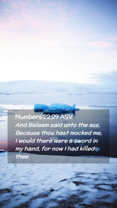 Picture 02 - Numbers 22:29 ASV Mobile Phone Wallpaper - And Balaam said unto the ass, Because thou hast - Mobile Bible Verse Wallpaper