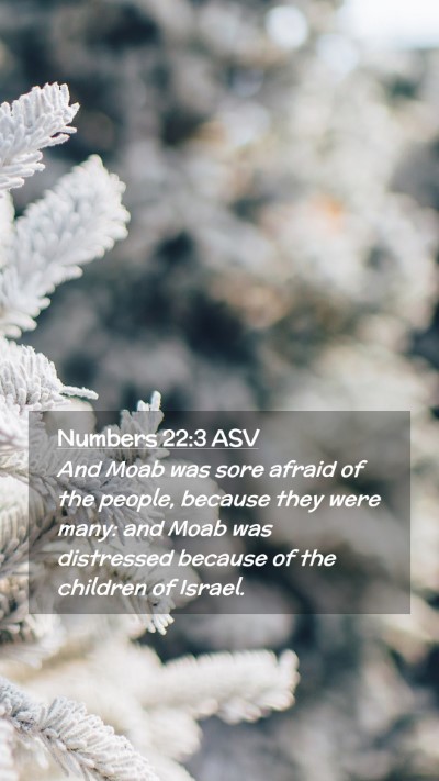 Picture 02 - Numbers 22:3 ASV Mobile Phone Wallpaper - And Moab was sore afraid of the people, because - Mobile Bible Verse Wallpaper