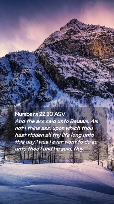 Picture 02 - Numbers 22:30 ASV Mobile Phone Wallpaper - And the ass said unto Balaam, Am not I thine ass, - Mobile Bible Verse Wallpaper