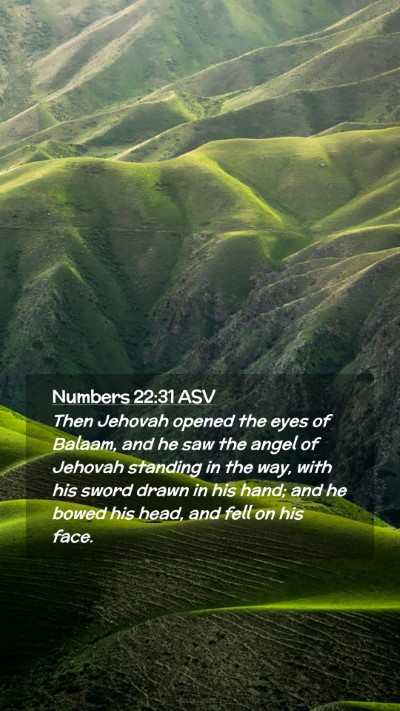 Picture 02 - Numbers 22:31 ASV Mobile Phone Wallpaper - Then Jehovah opened the eyes of Balaam, and he - Mobile Bible Verse Wallpaper