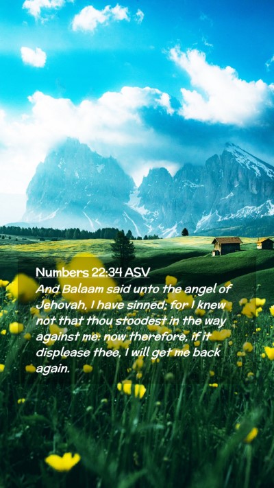 Picture 02 - Numbers 22:34 ASV Mobile Phone Wallpaper - And Balaam said unto the angel of Jehovah, I have - Mobile Bible Verse Wallpaper