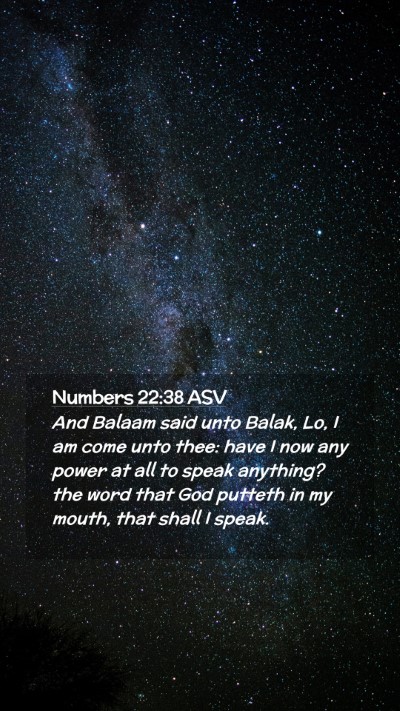 Picture 02 - Numbers 22:38 ASV Mobile Phone Wallpaper - And Balaam said unto Balak, Lo, I am come unto - Mobile Bible Verse Wallpaper