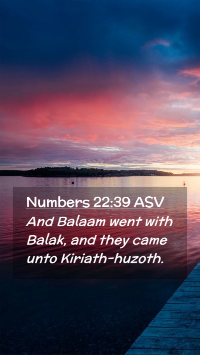 Picture 02 - Numbers 22:39 ASV Mobile Phone Wallpaper - And Balaam went with Balak, and they came unto - Mobile Bible Verse Wallpaper