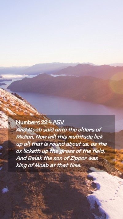 Picture 02 - Numbers 22:4 ASV Mobile Phone Wallpaper - And Moab said unto the elders of Midian, Now will - Mobile Bible Verse Wallpaper