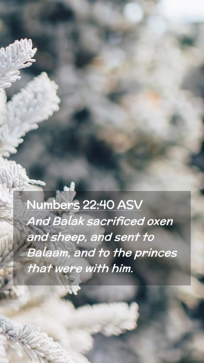 Picture 02 - Numbers 22:40 ASV Mobile Phone Wallpaper - And Balak sacrificed oxen and sheep, and sent to - Mobile Bible Verse Wallpaper