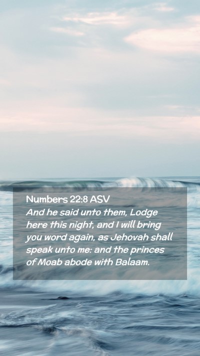 Picture 02 - Numbers 22:8 ASV Mobile Phone Wallpaper - And he said unto them, Lodge here this night, and - Mobile Bible Verse Wallpaper