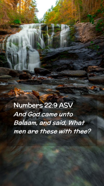 Picture 02 - Numbers 22:9 ASV Mobile Phone Wallpaper - And God came unto Balaam, and said, What men are - Mobile Bible Verse Wallpaper