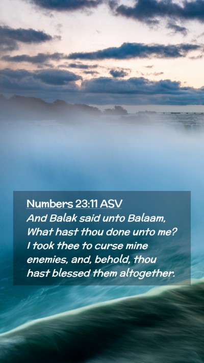 Picture 02 - Numbers 23:11 ASV Mobile Phone Wallpaper - And Balak said unto Balaam, What hast thou done - Mobile Bible Verse Wallpaper